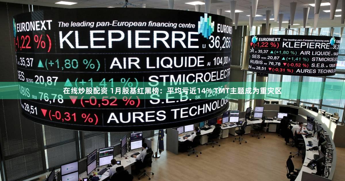 在线炒股配资 1月股基红黑榜：平均亏近14% TMT主题成为重灾区
