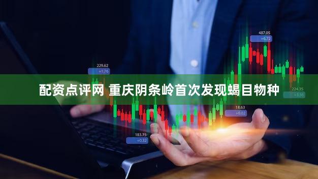 配资点评网 重庆阴条岭首次发现蝎目物种