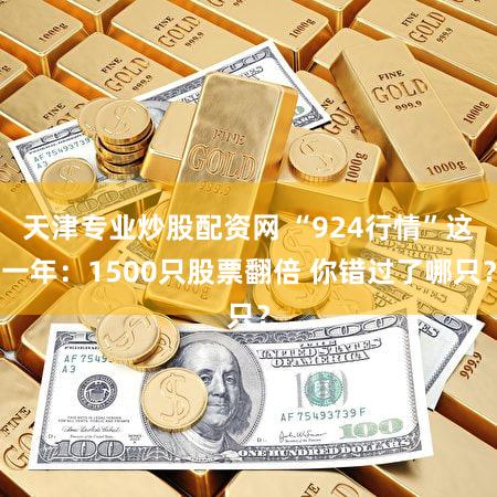 天津专业炒股配资网 “924行情”这一年：1500只股票翻倍 你错过了哪只？