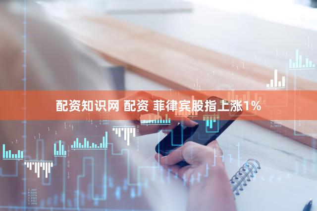 配资知识网 配资 菲律宾股指上涨1%
