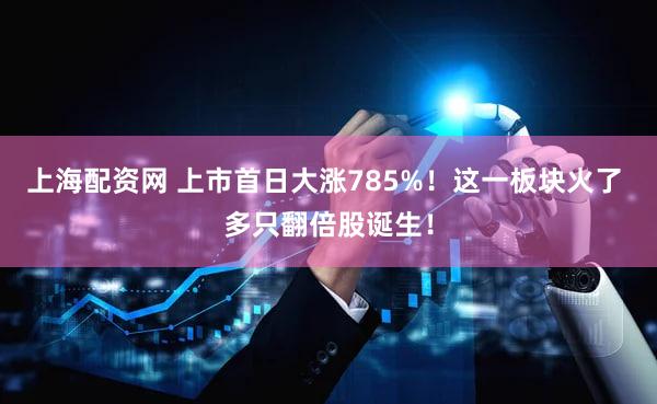 上海配资网 上市首日大涨785%!这一板块火了 多只翻倍股诞生!