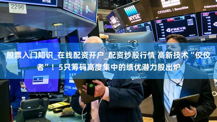 股票入门知识_在线配资开户_配资炒股行情 高新技术“佼佼者”！5只筹码高度集中的绩优潜力股出炉