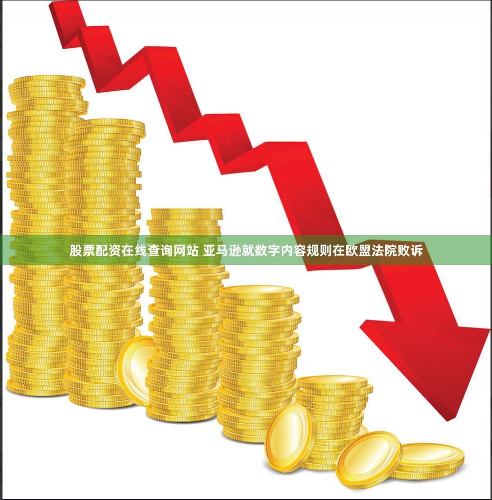 股票配资在线查询网站 亚马逊就数字内容规则在欧盟法院败诉