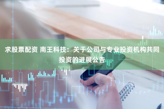 求股票配资 南王科技：关于公司与专业投资机构共同投资的进展公告