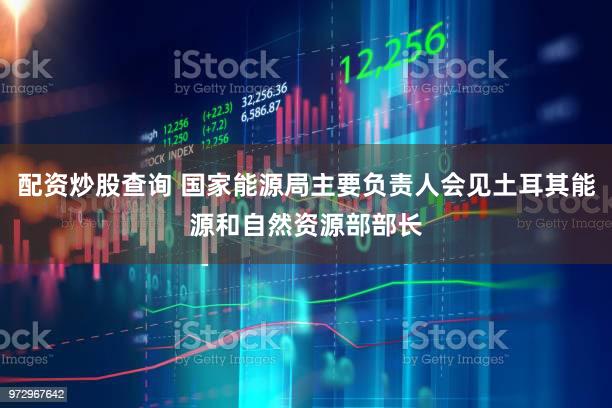 配资炒股查询 国家能源局主要负责人会见土耳其能源和自然资源部部长