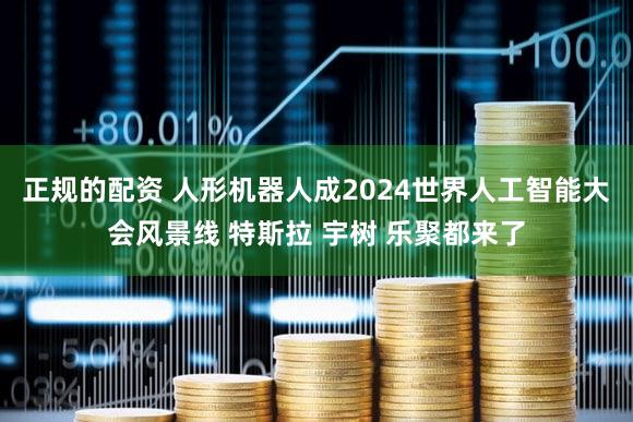 正规的配资 人形机器人成2024世界人工智能大会风景线 特斯拉 宇树 乐聚都来了